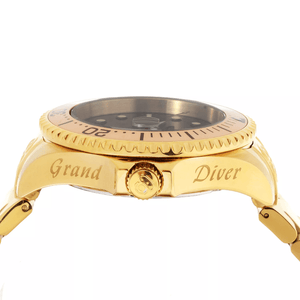 buy Invicta 24766 Gold Automatic Watch for Men | 200M Water Resist