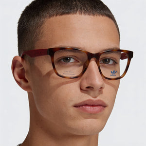 Adidas Originals Square Eyeglasses Unisex — side view, Havana Injected temples