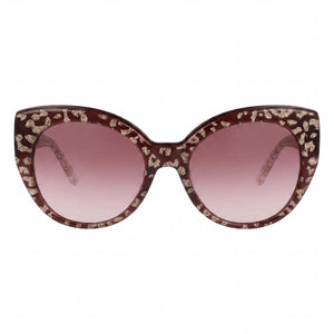 Bebe Bb7231 Cat Eye Sunglasses for Women — front view, Acetate frame