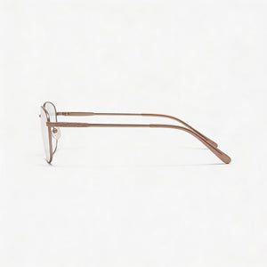 Chesterfield 890/T Rectangle Eyeglasses Men — side view, Gray Titanium temples