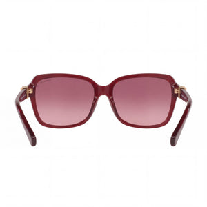 Coach HC8179-5393G2-58 Square Sunglasses for Women — interior view, Non-Polarized lens detail