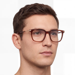 Ermenegildo Zegna EZ5273 Brown Eyeglasses Men — lifestyle wear, reading and close-up activities