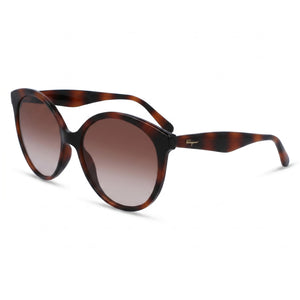 Ferragamo SF1071S Tortoise Round Sunglasses for Women, Brown Gradient lens