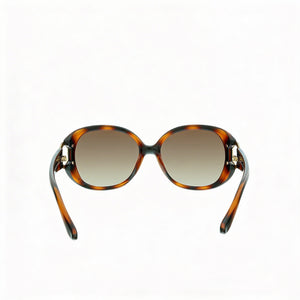 Ferragamo Sf668s Shield Sunglasses for Women — interior view, Non-Polarized lens detail