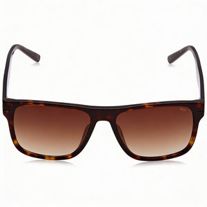 Fila SFI208 Square Sunglasses for Men — front view, Acetate frame