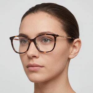 Moschino Havana Eyeglasses Women — lifestyle wear, office and reading