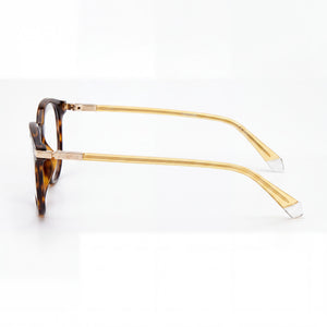 Polaroid PLD D461/G Round Eyeglasses for Men — front view, Injected
