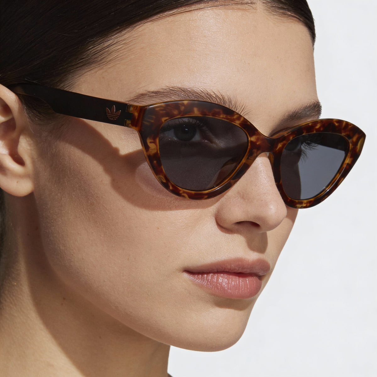 Adidas Originals AOR026 Havana Cat Eye Sunglasses for Women, 51mm, Photo 4