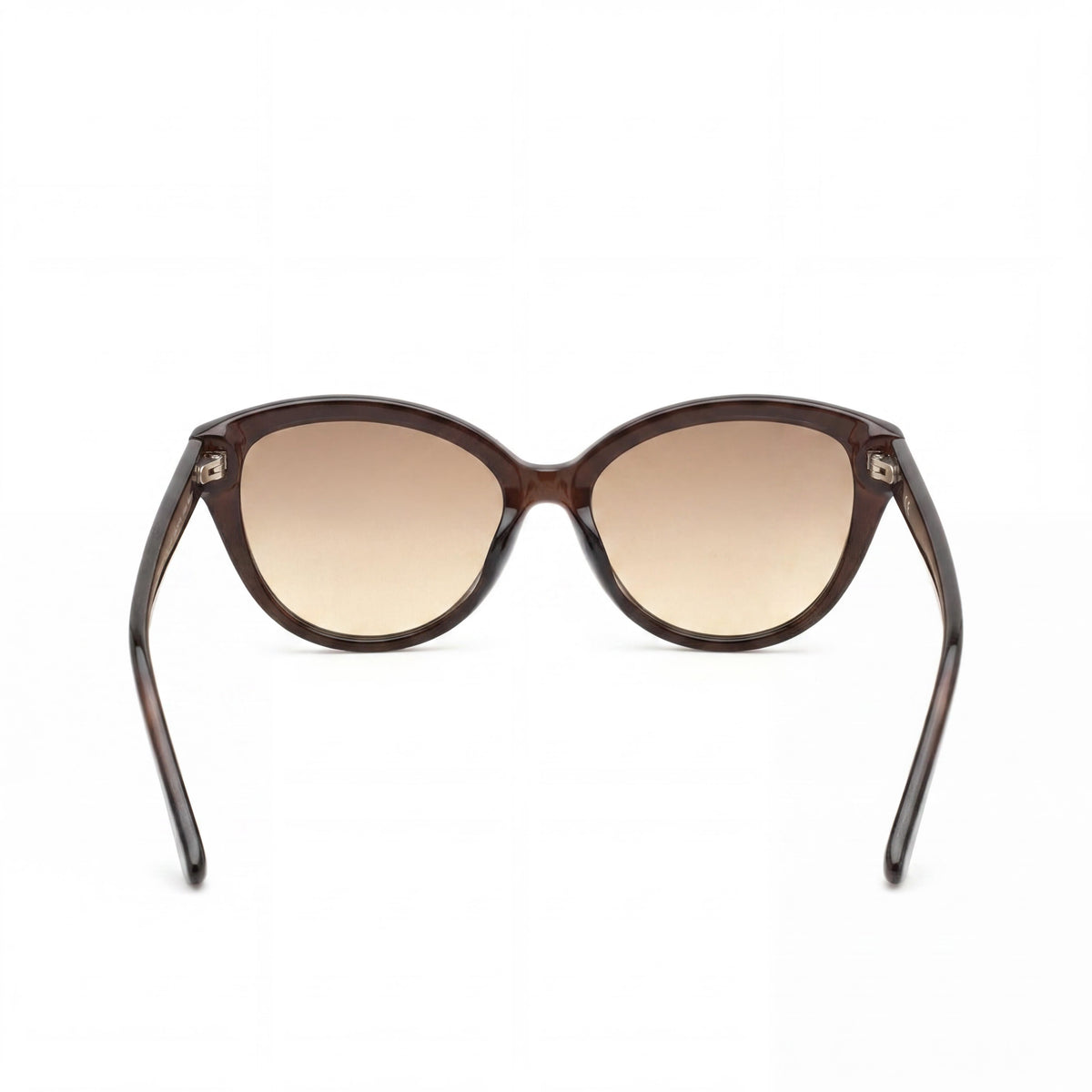 Calvin Klein Ck19536s Brown Cat Eye Sunglasses for Women, 55mm, Photo 4