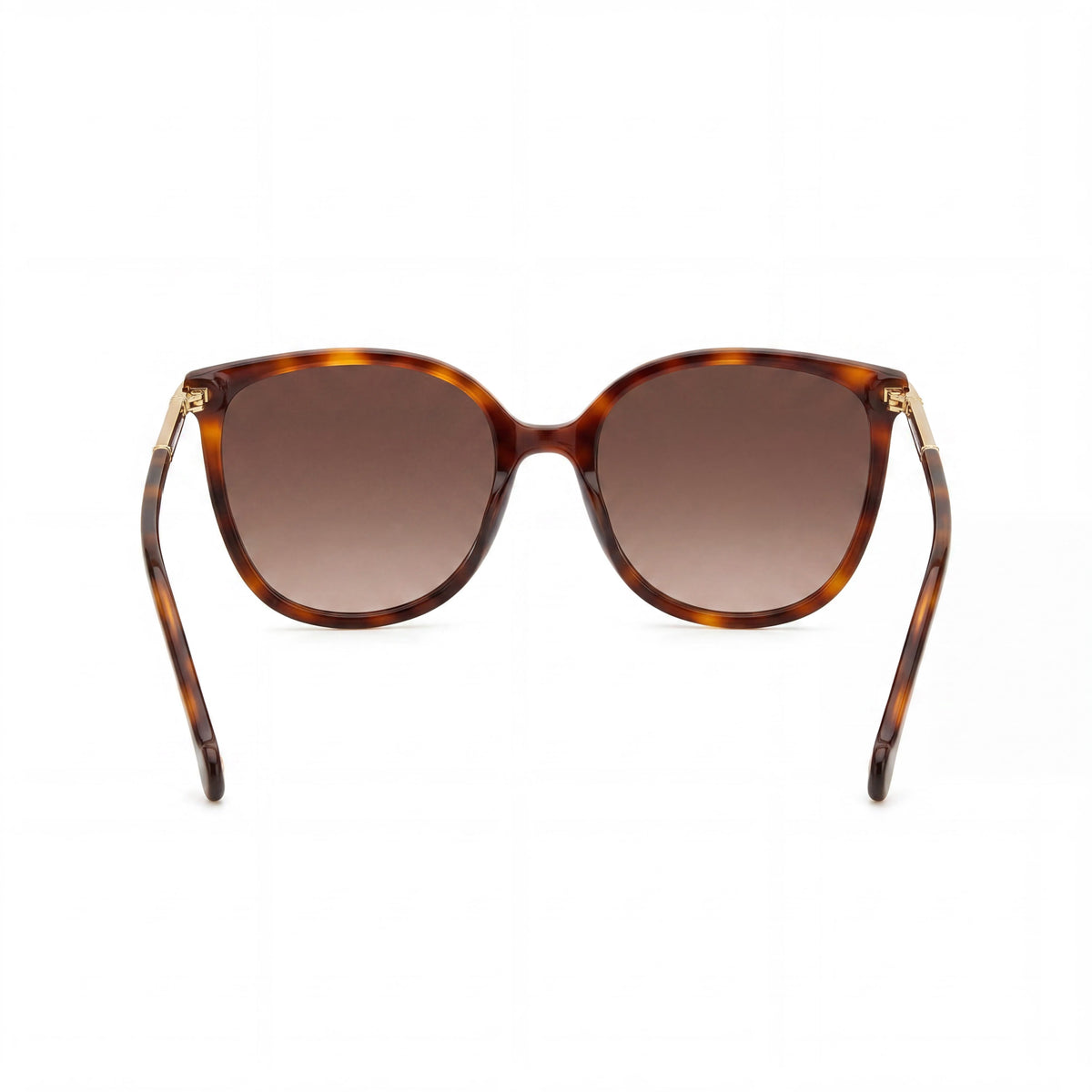 Carolina Herrera HER 0229/S Gafas de sol ovaladas color marrón habana para mujer, 55 mm, Photo 3