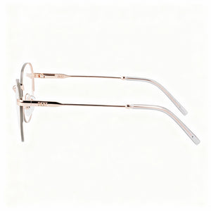 DKNY DK1032 Round Eyeglasses Women — side view, Gold Metal temples