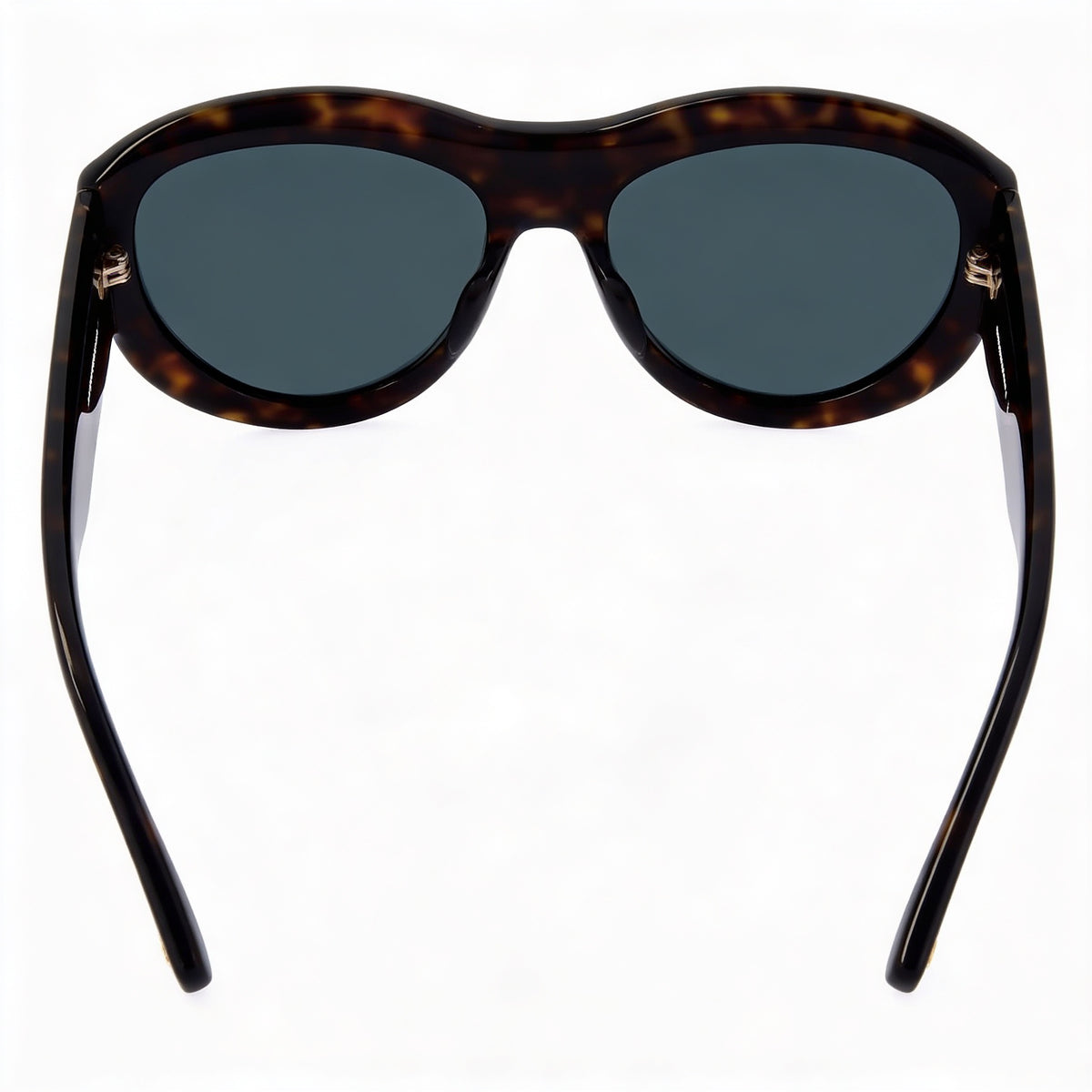 Dsquared2 D2 0072/S Havana Oval Sunglasses Unisex, 59mm, Photo 3