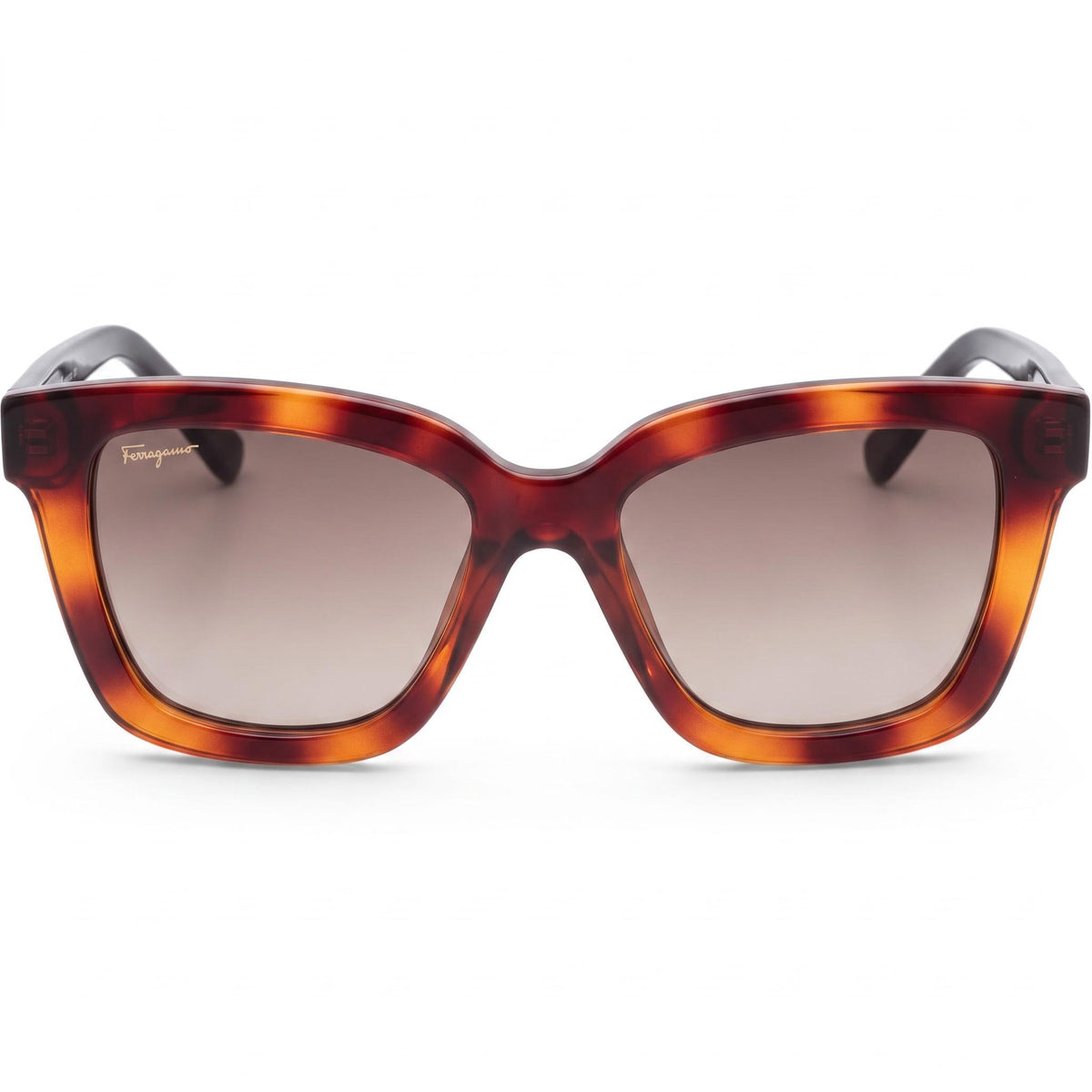 Ferragamo Classic Square Brown Sunglasses Unisex, 53mm, Photo 2