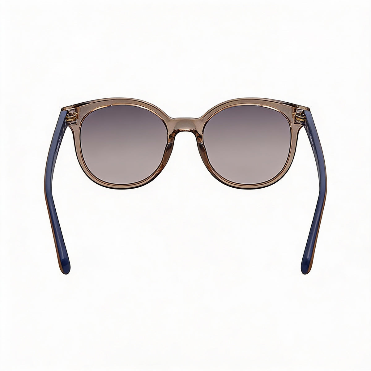 Gafas de sol redondas para mujer Ferragamo Contemporary SF833S Crystal Nude, 53 mm, Photo 3
