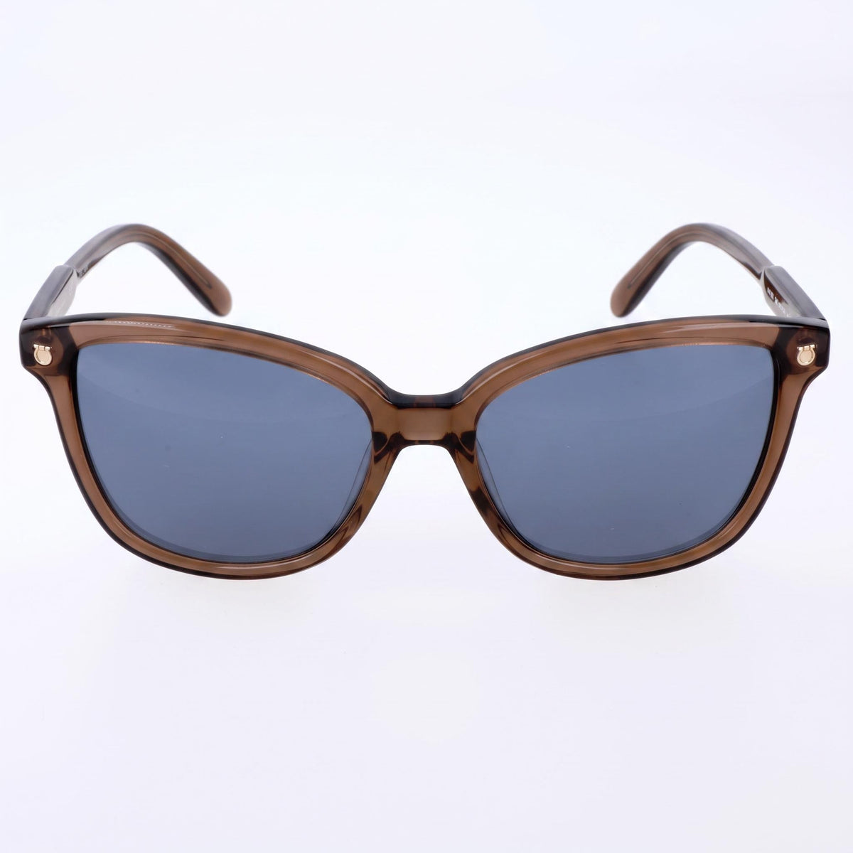 Ferragamo Contemporary Brown Square Sunglasses for Women, 56mm, Photo 2