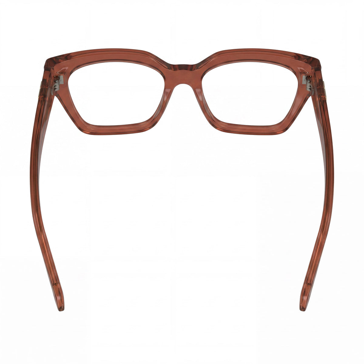 Ferragamo SF2983 Transparent Rust Rectangle Eyeglasses Unisex, 53mm, Photo 4