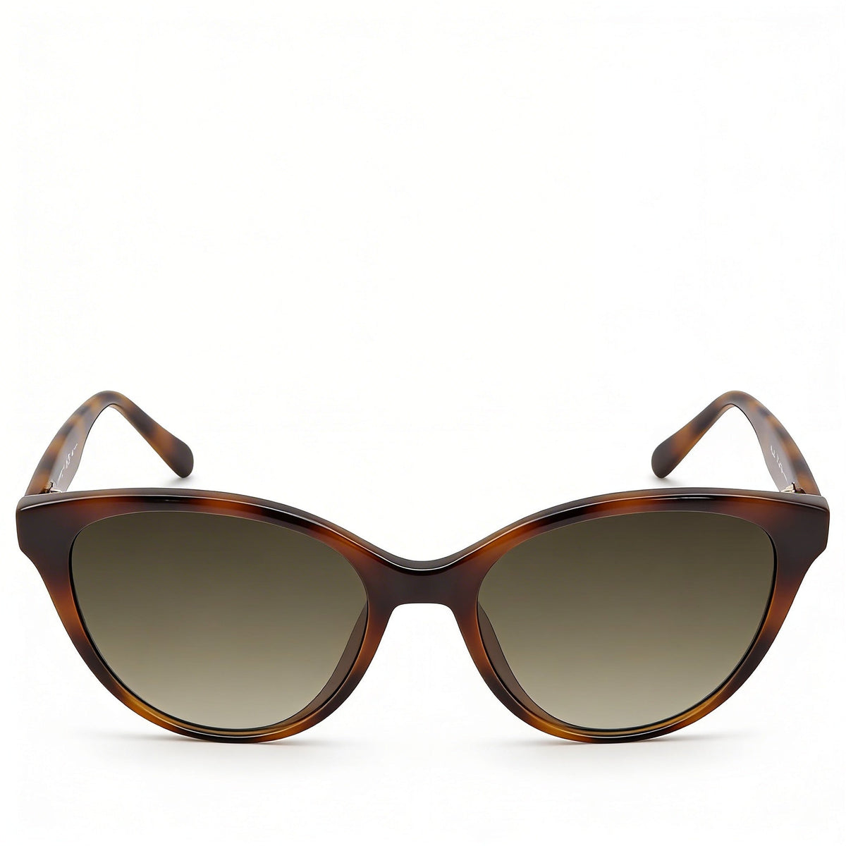Ferragamo SF1073S 240 Havana Cat Eye Sunglasses for Women, 54mm, Photo 2