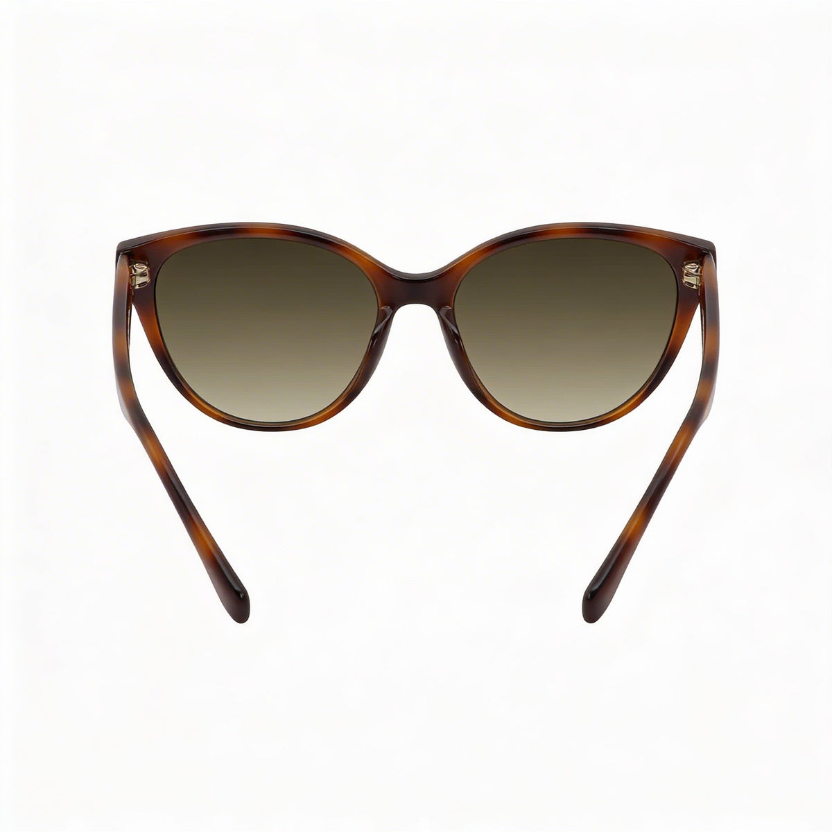 Ferragamo SF1073S 240 Havana Cat Eye Sunglasses for Women, 54mm, Photo 3