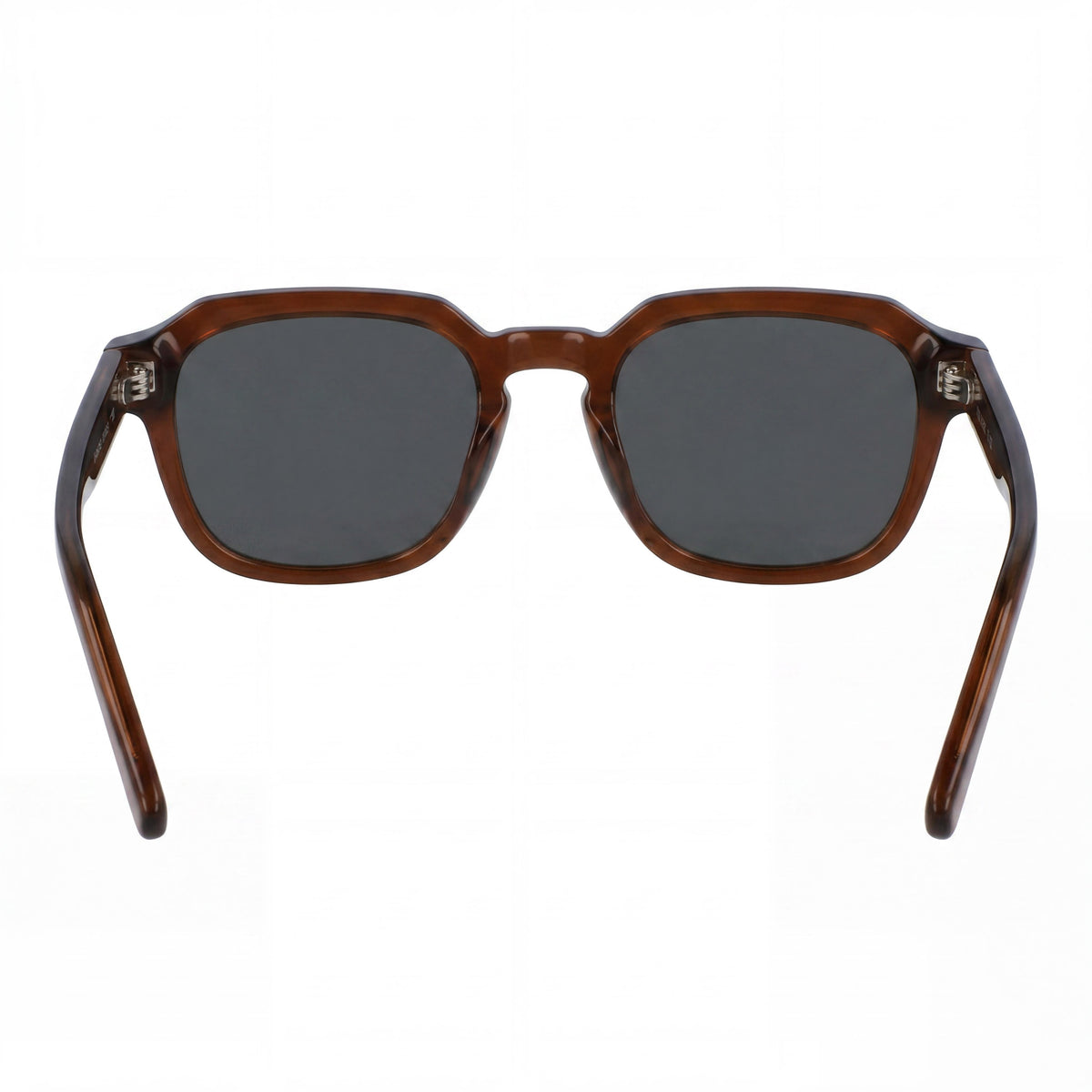 Ferragamo SF1089SN Transparent Brown Square Sunglasses Unisex, 52mm, Photo 4
