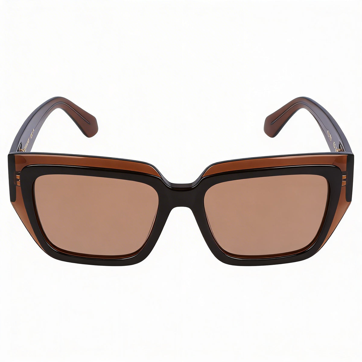 Ferragamo Sf2002s Transparent Brown/Brown Sunglasses Unisex, 55mm, Photo 2