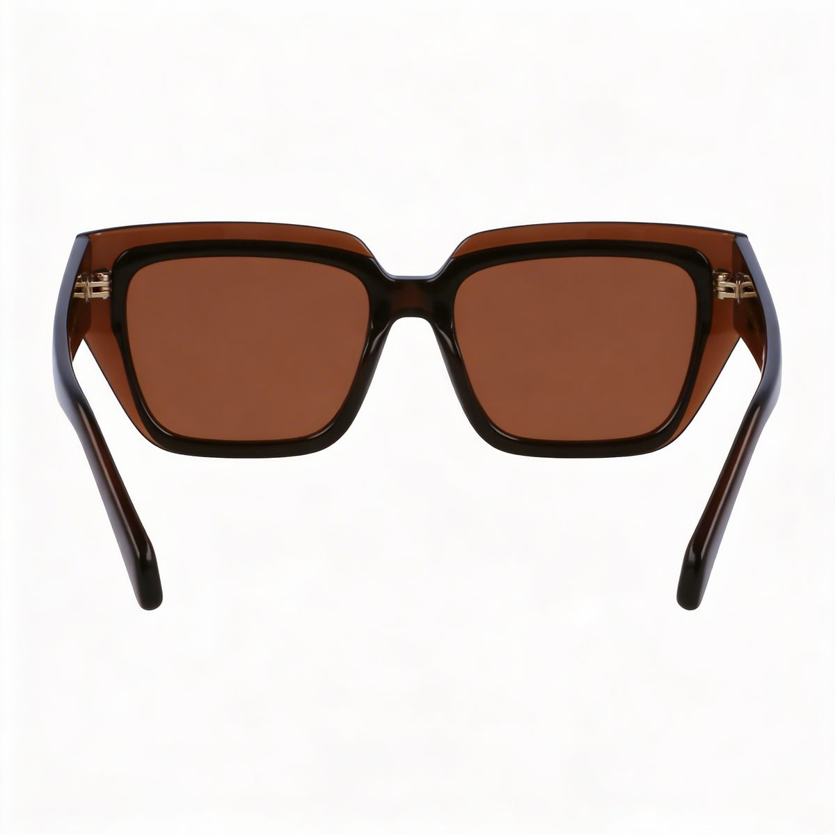 Ferragamo Sf2002s Transparent Brown/Brown Sunglasses Unisex, 55mm, Photo 4