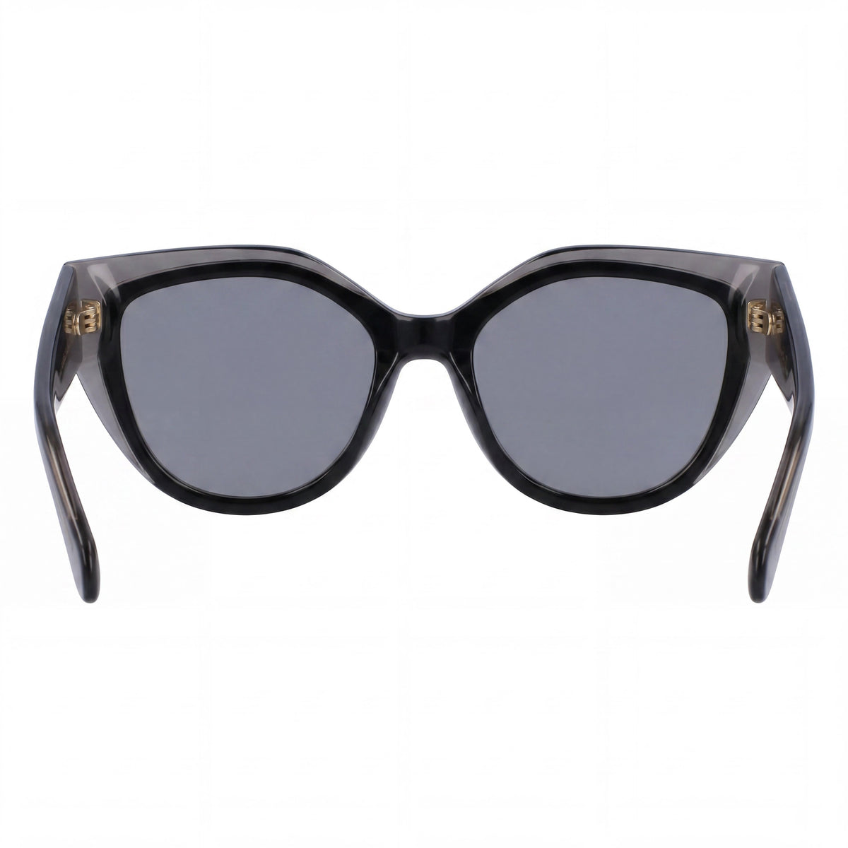 Ferragamo SF2004S Transparent Grey/Black Sunglasses for Men, 53mm, Photo 2