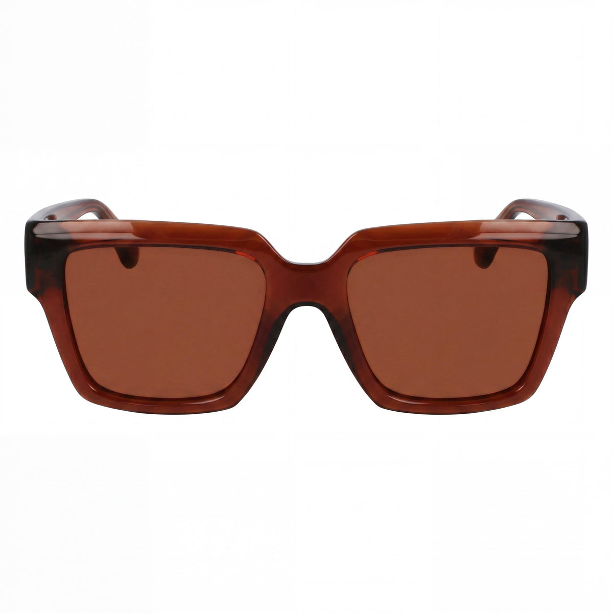 Ferragamo Sf2014s Transparent Brown Square Sunglasses for Women, Photo 2