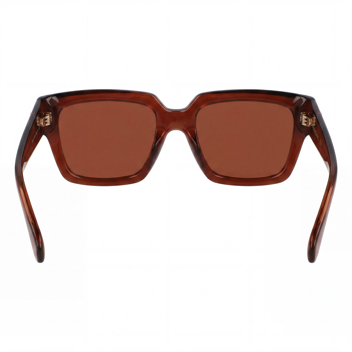 Ferragamo Sf2014s Transparent Brown Square Sunglasses for Women, Photo 4