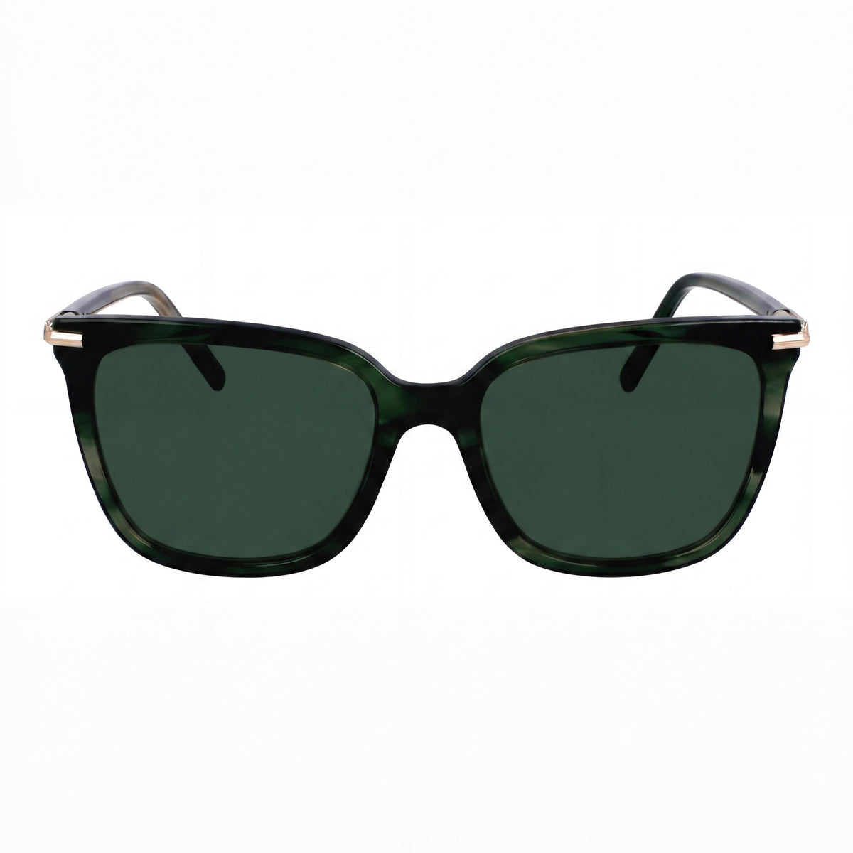 Ferragamo Sf2037s Green Striped Square Sunglasses Unisex, 56mm, Photo 2