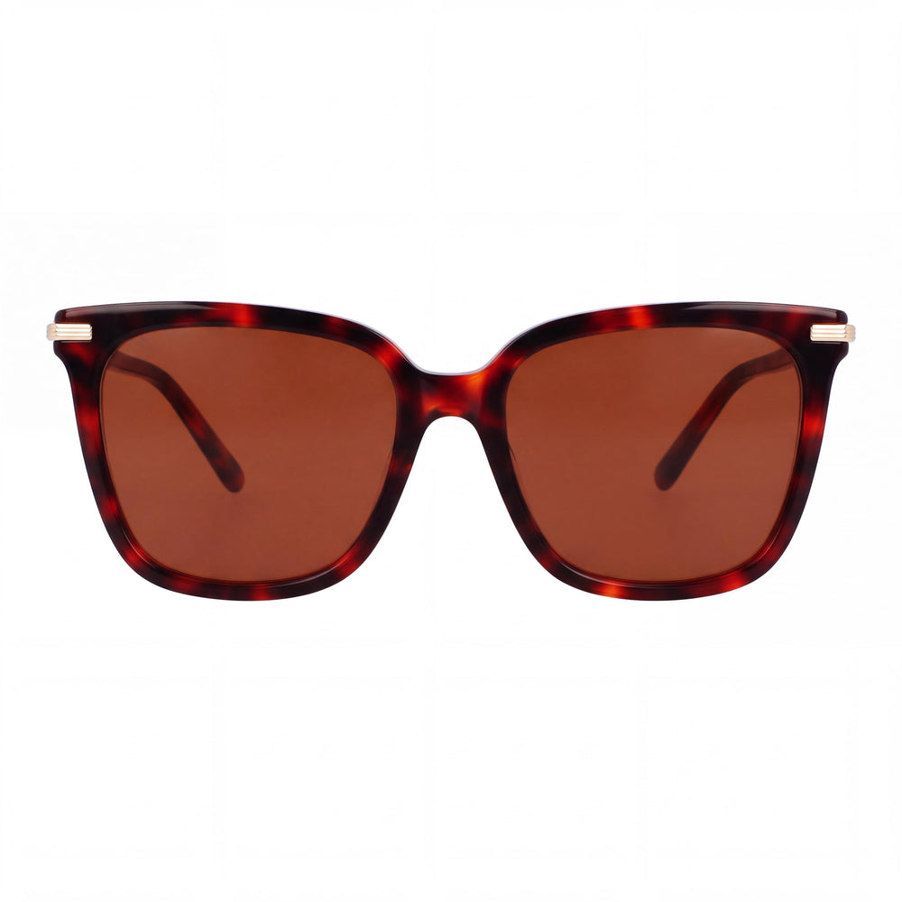 Ferragamo Sf2037s Square Sunglasses for Women — front view, Acetate frame