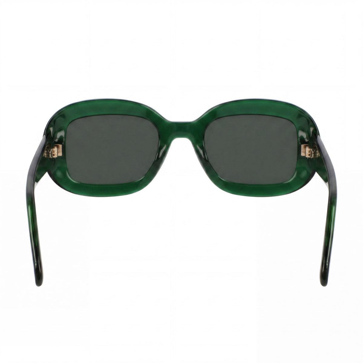 Ferragamo Sf2038se Transparent Green Round Sunglasses Unisex, 51mm, Photo 4