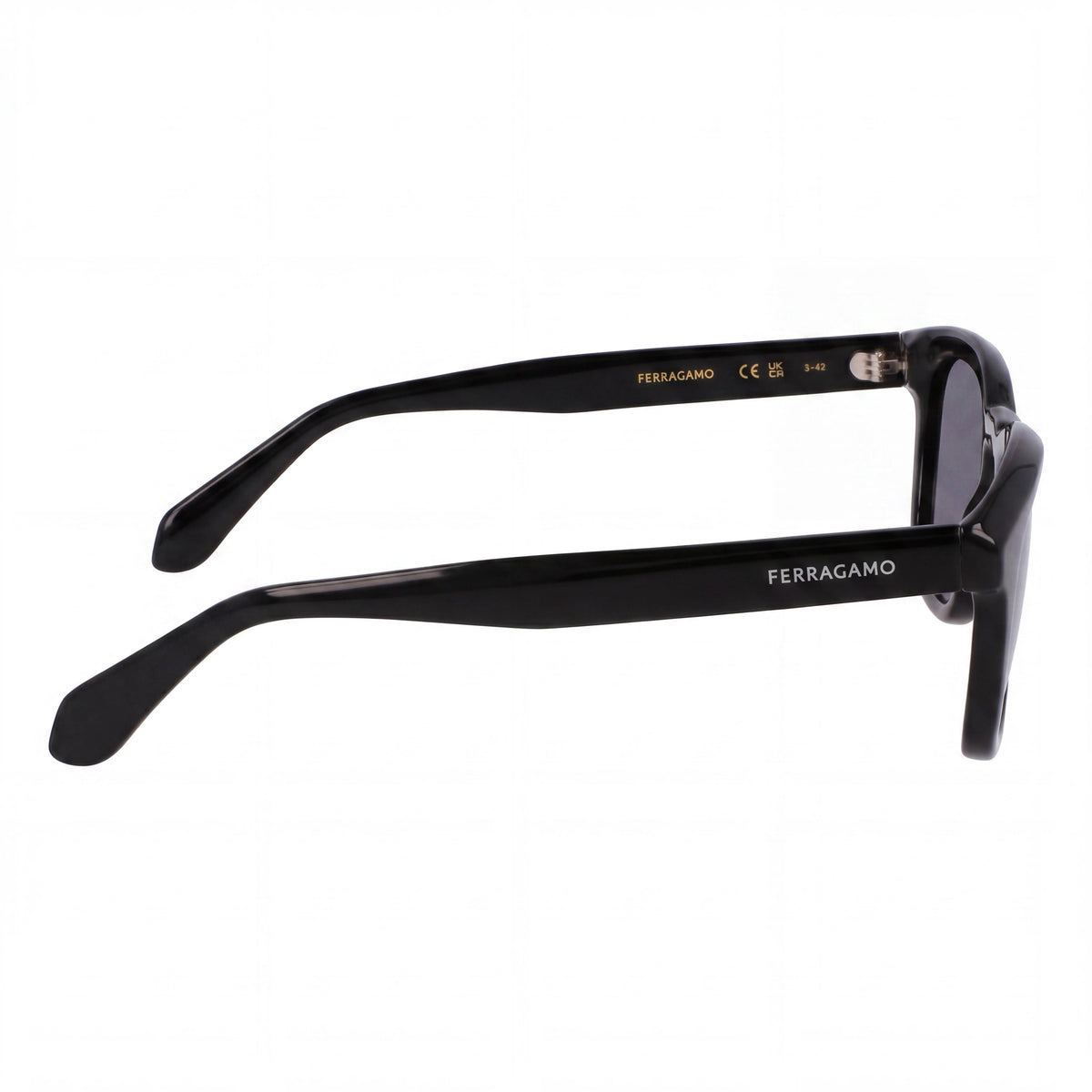 Ferragamo Sf2040se Black Square Sunglasses Unisex, 50mm, Photo 3