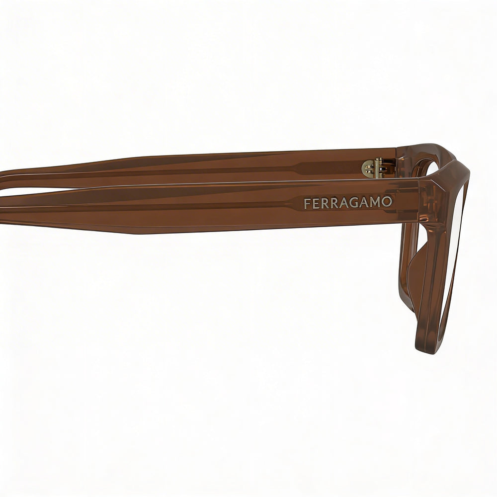 Ferragamo Sf2986 Rectangle Eyeglasses Men — side view, Brown Acetate temples