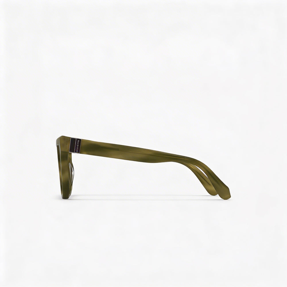 Ferragamo SF2995 Rectangle Eyeglasses Women — side view, Green Acetate temples