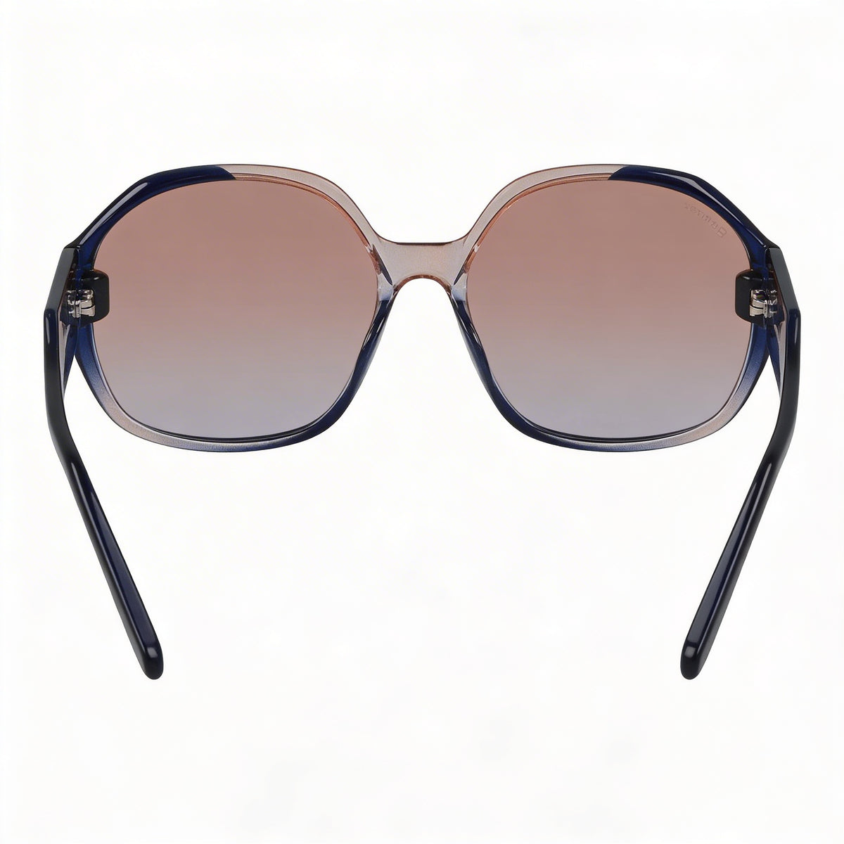 Ferragamo Sf943s Grey Rose Gradient Sunglasses Unisex, 60mm, Photo 3