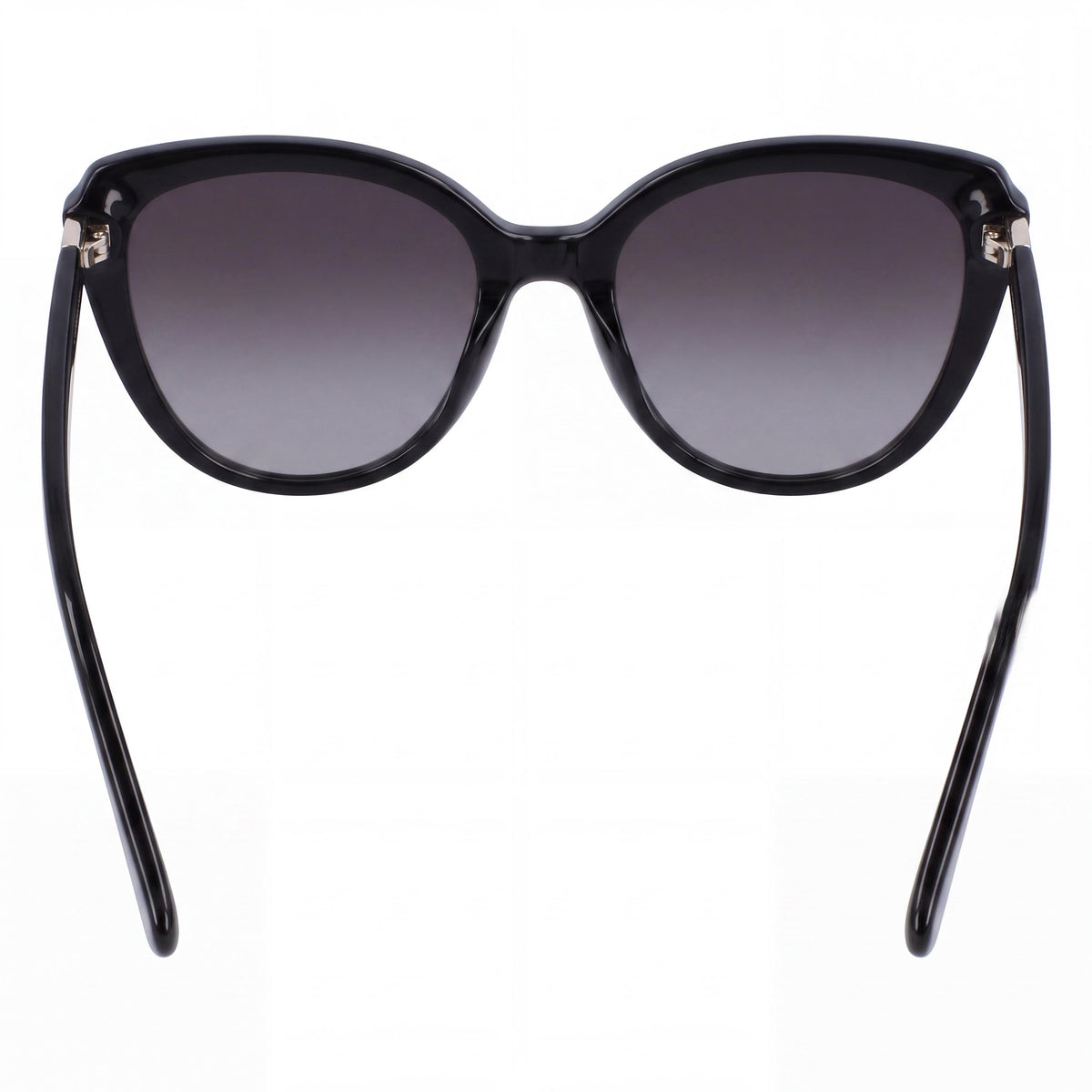 Longchamp Butterfly LO670S Black Cat Eye Sunglasses for Women, 54mm, Photo 3