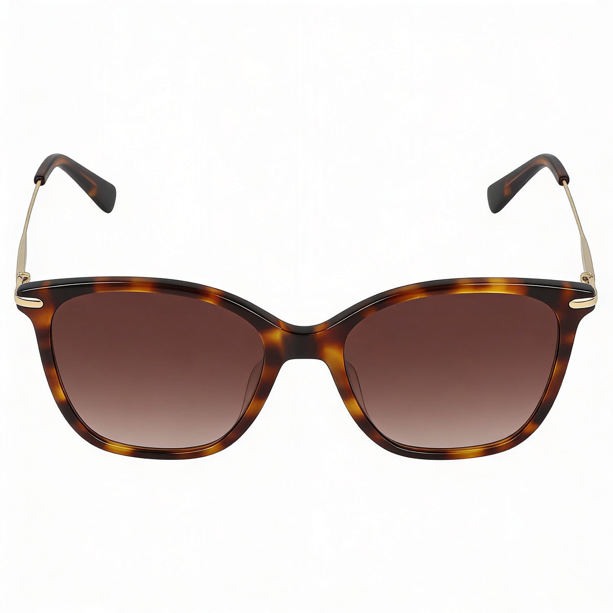 Longchamp LO660S Havana Butterfly Sunglasses Unisex, 54mm, Photo 2