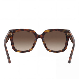Moschino MOS146/S Square Sunglasses Women — side view, Non-Polarized Brown Shaded lens