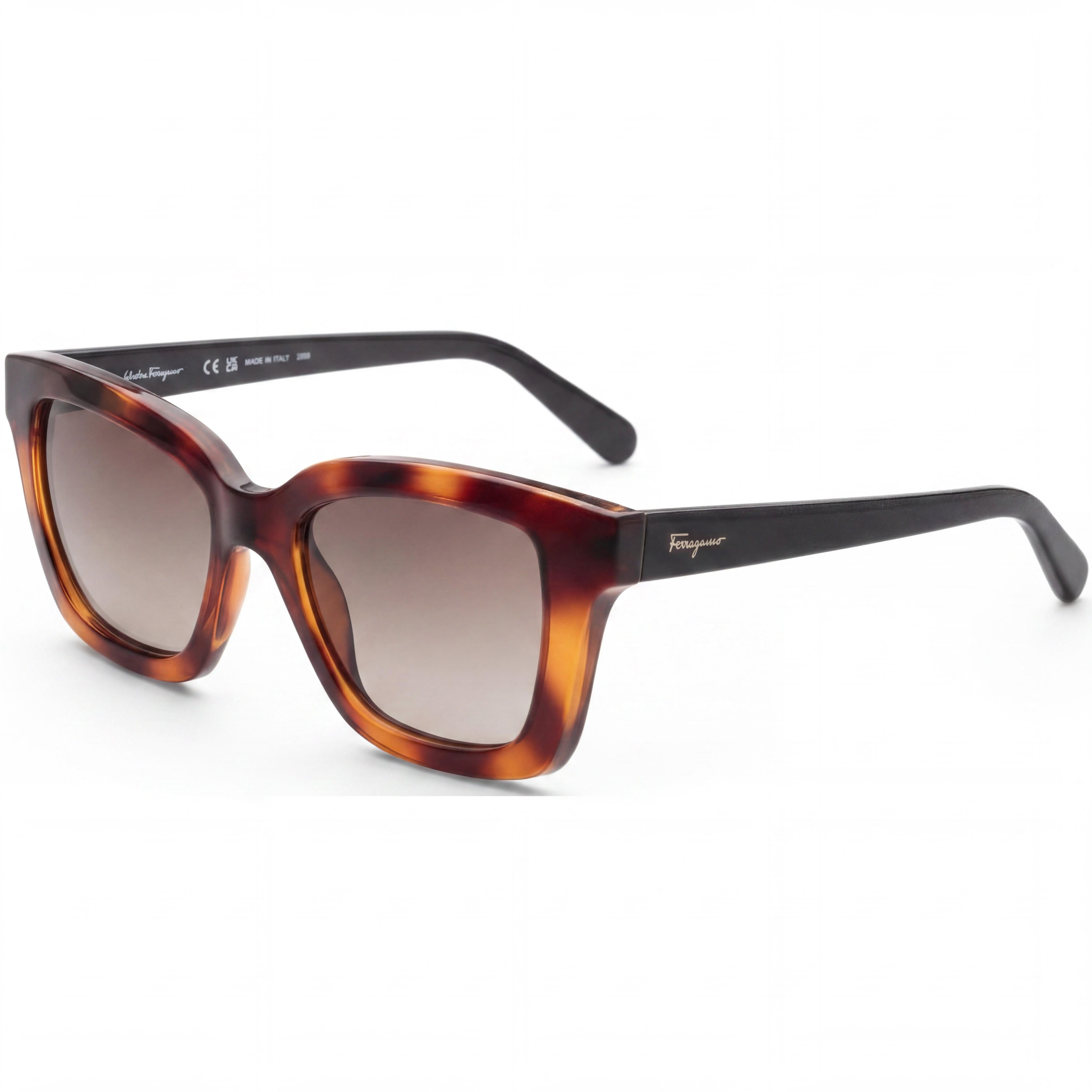 Salvatore Ferragamo Classic Unisex Tortoise Plastic Sunglasses, Brown Gradient Non-Polarized UV Protection, 53mm, Photo 1