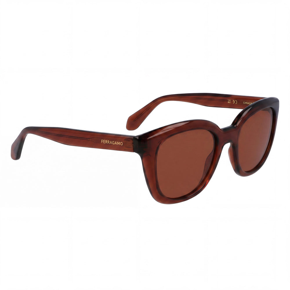 Salvatore Ferragamo Ojo de Gato Hombre Transparente Marrón Inyectado Protección UV 52mm