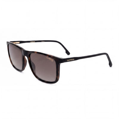 Gafas de sol unisex Carrera CARRERA 231/S de poliamida marrón no polarizada con degradado marrón y protección UV de 55 mm
