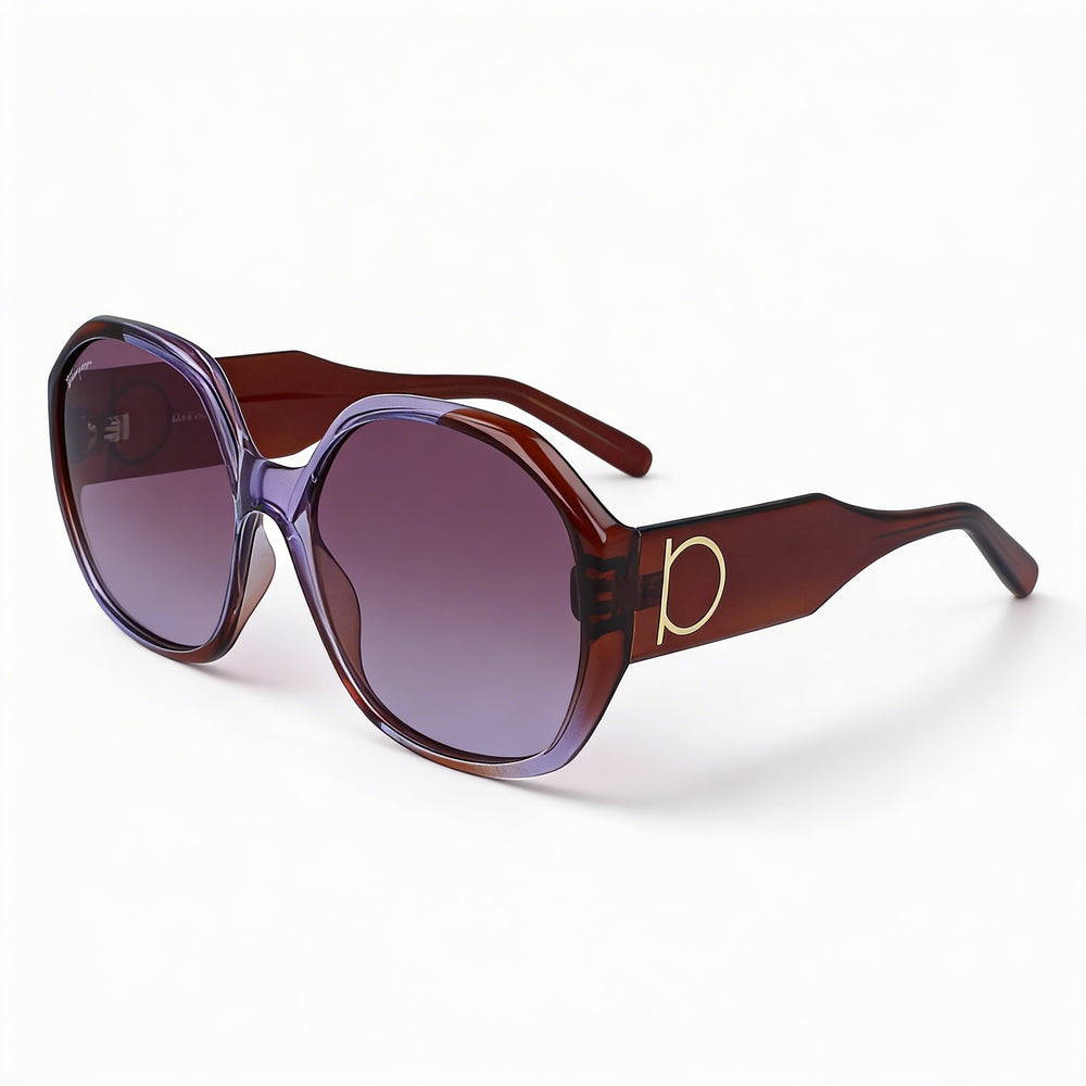 Salvatore Ferragamo Classic Unisex Plastic Frame Sunglasses UV Protection Violet Brown Gradient 60-18-145mm