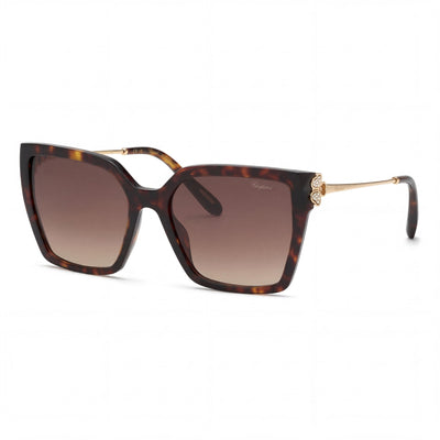 Chopard Sch371s Women's Classic Havana Cellulose Acetate Brown Gradient UV Protection Sunglasses 56mm