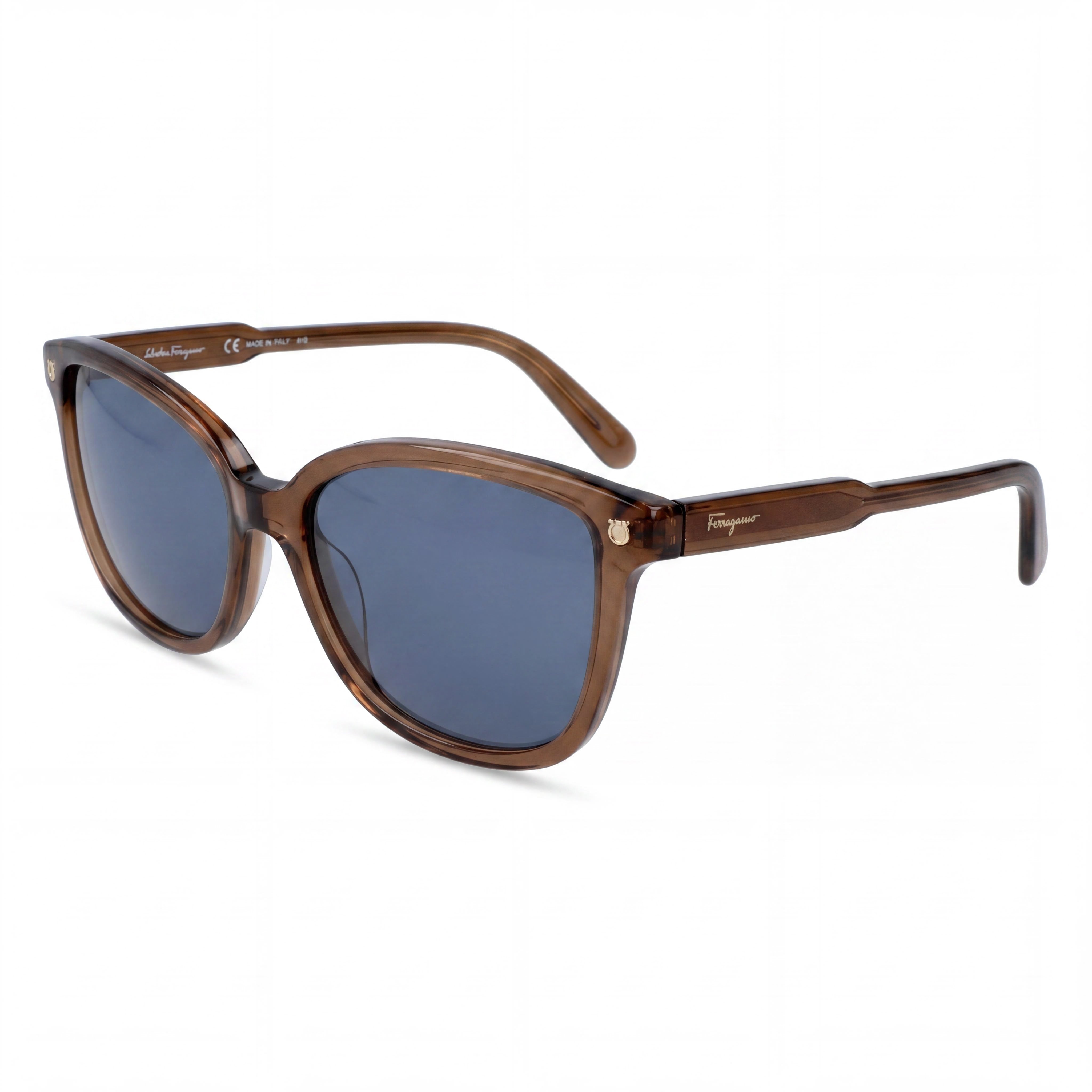Ferragamo Contemporary Women's Brown Acetate Frame Blue Non-Polarized UV Sunglasses 56mm, Photo 1