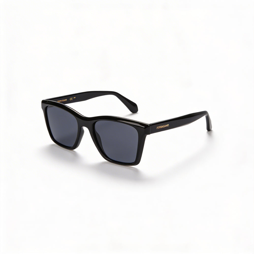 Ferragamo Sf2001s Unisex Black Acetate Eyewear 54mm