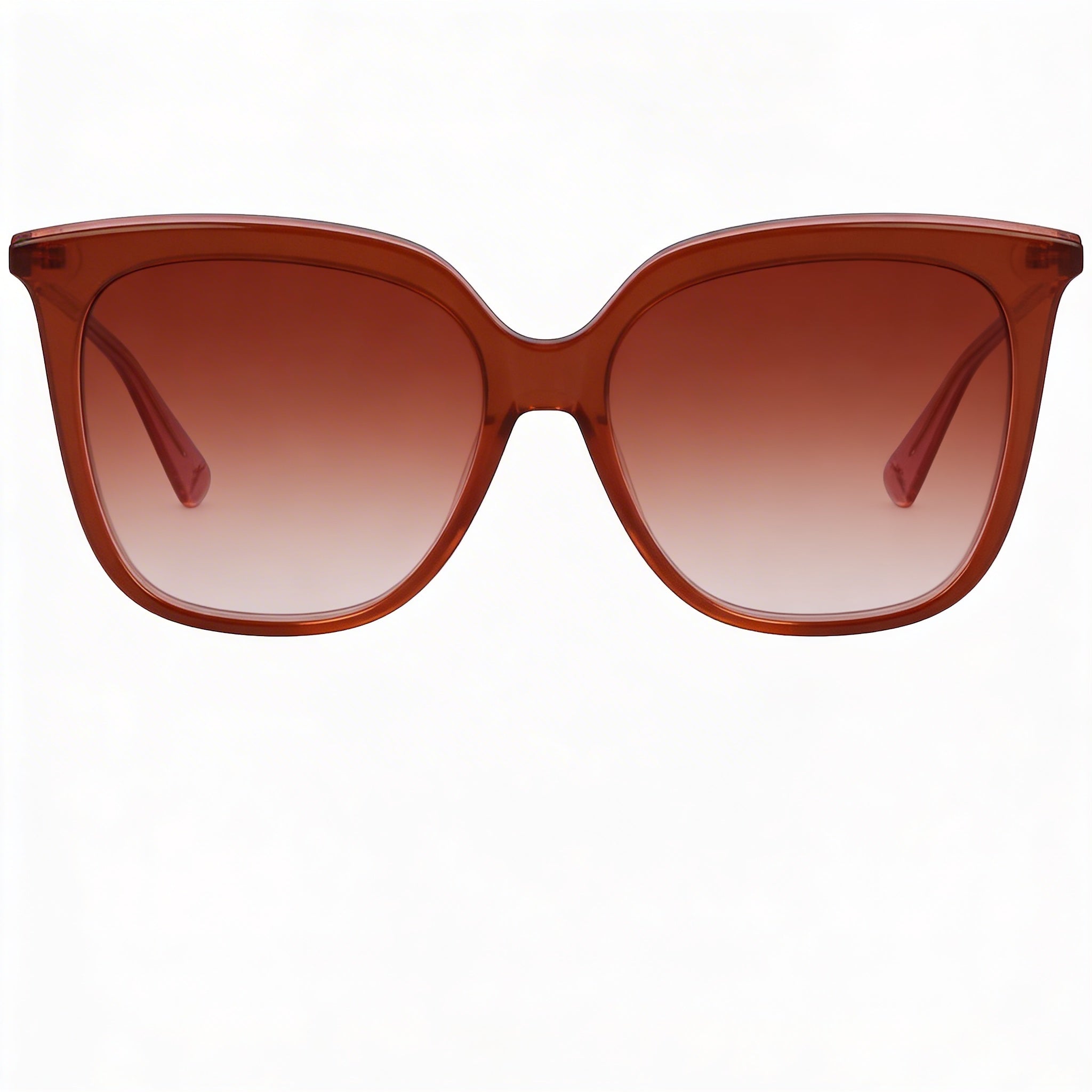 Longchamp Modern LO728S Women's Plastic Brown Rose Non-Polarized UV Protection Sunglasses 53mm, Photo 2