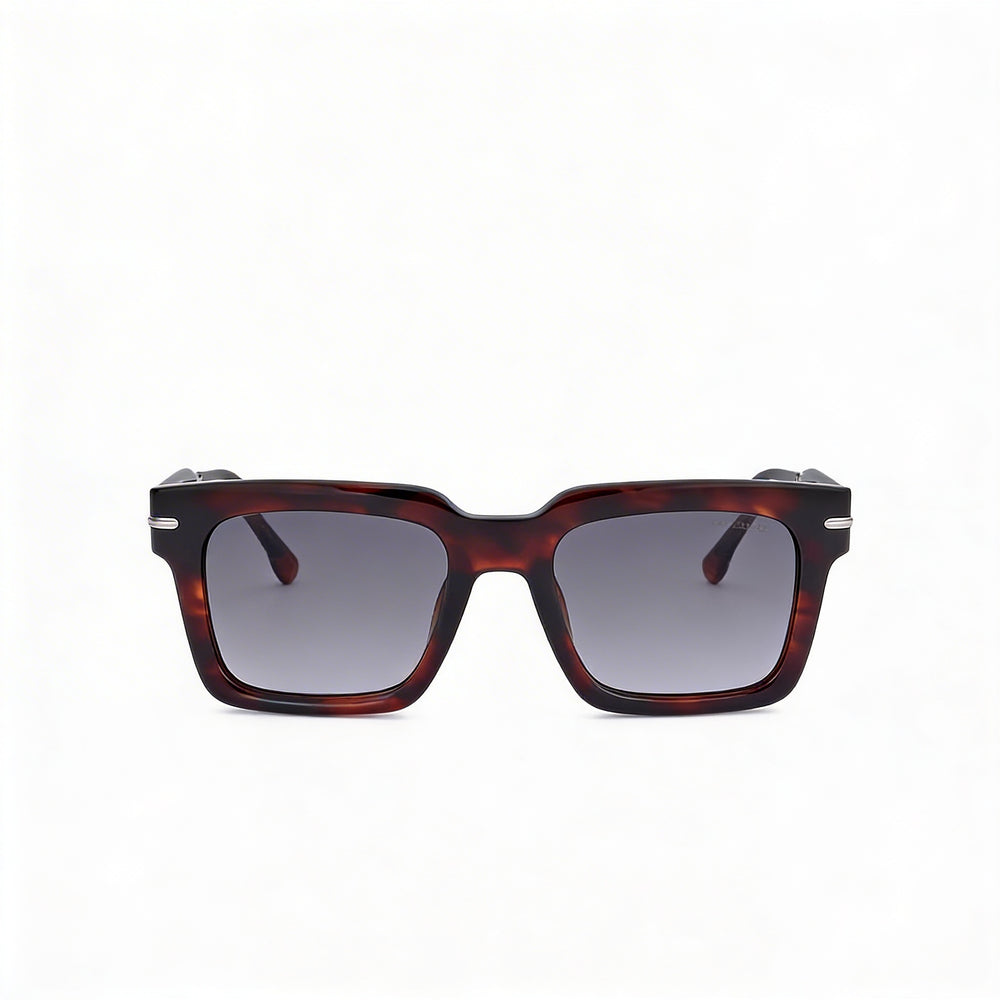 Carrera Signature Gafas de sol de hombre de acetato cuerno marrón, gris oscuro sombreado no polarizadas 100% UV 52mm