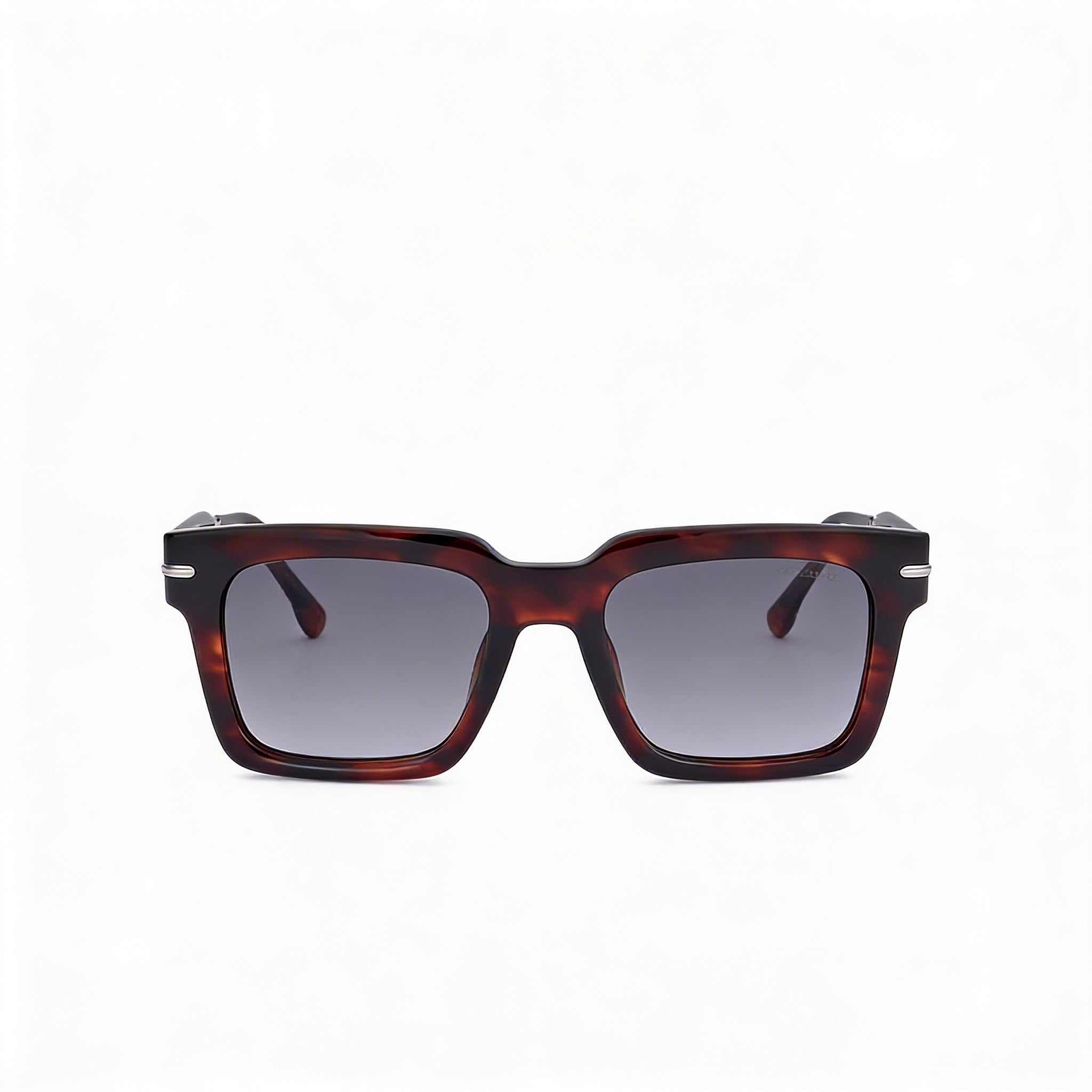 Carrera Signature Men's Brown Horn Acetate Dark Grey Shaded Non-Polarized 100% UV Sunglasses 52mm, Photo 2