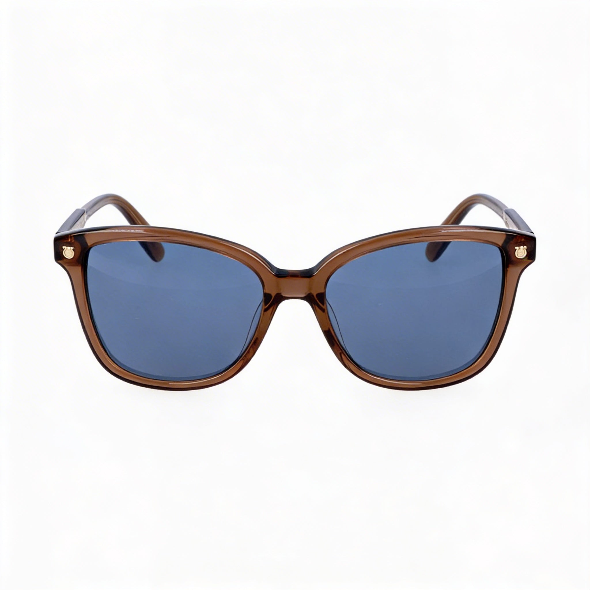 Ferragamo Contemporary Women's Brown Acetate Frame Blue Non-Polarized UV Sunglasses 56mm, Photo 2