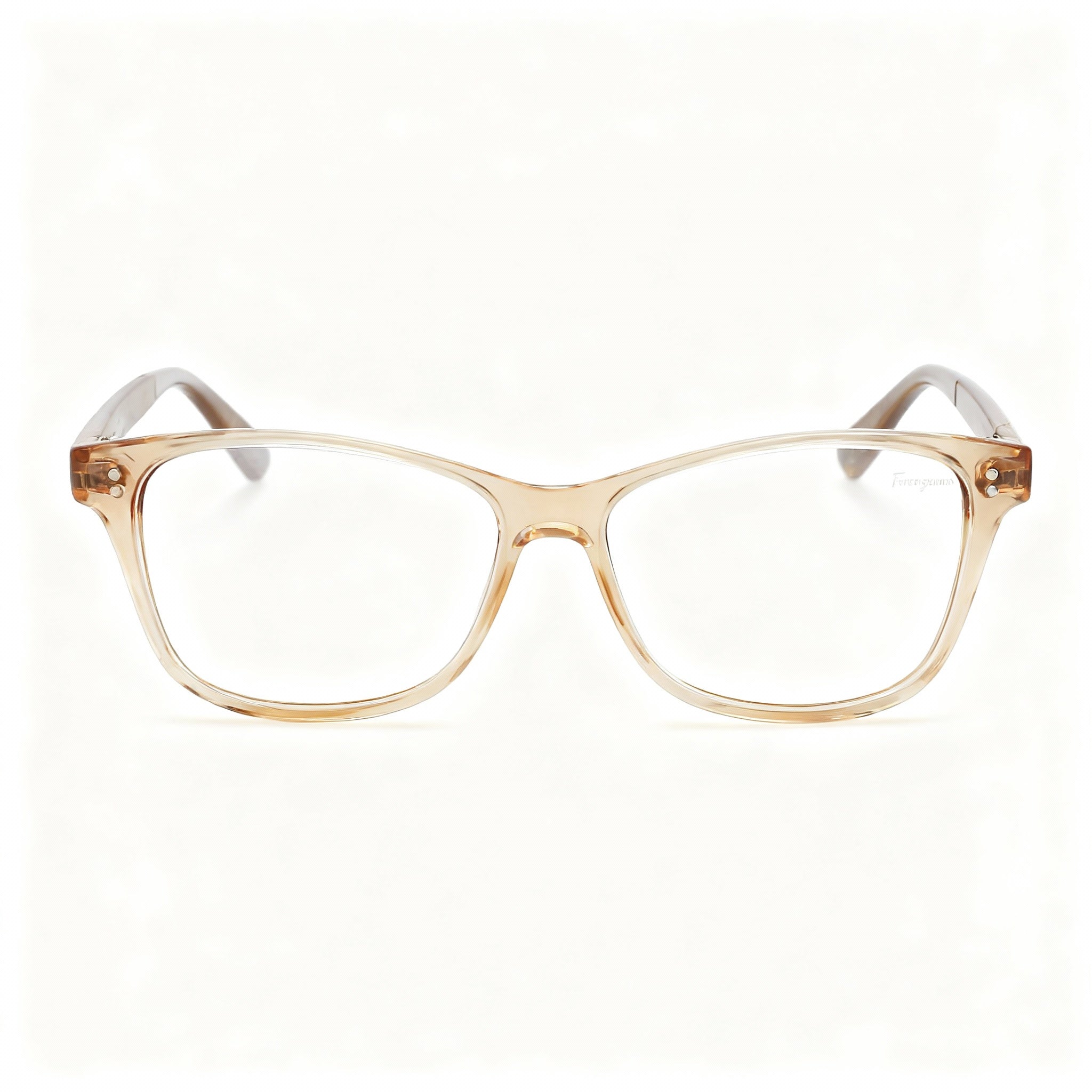 Salvatore Ferragamo Modern Women's Acetate Non-Polarized Sunglasses Transparent Brown/Brown Marble 55mm